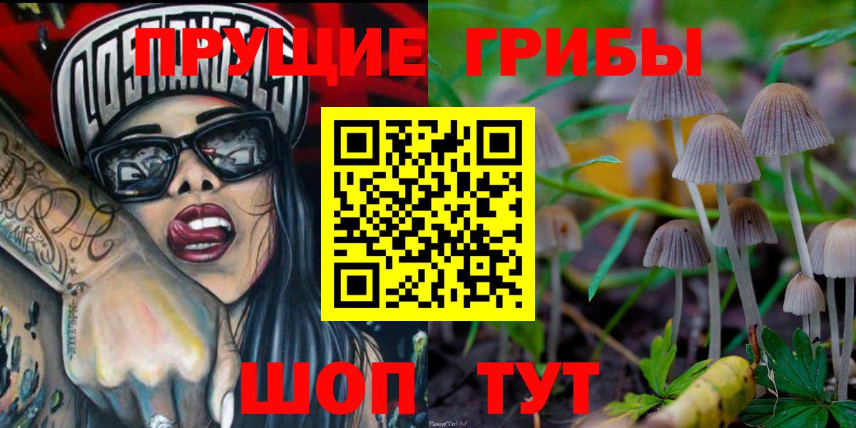 Галлюциногенные грибы прущие грибы Новый Уренгой